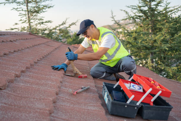 Best Roof Gutter Cleaning  in Lutcher, LA
